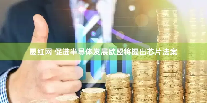 晟红网 促进半导体发展欧盟将提出芯片法案