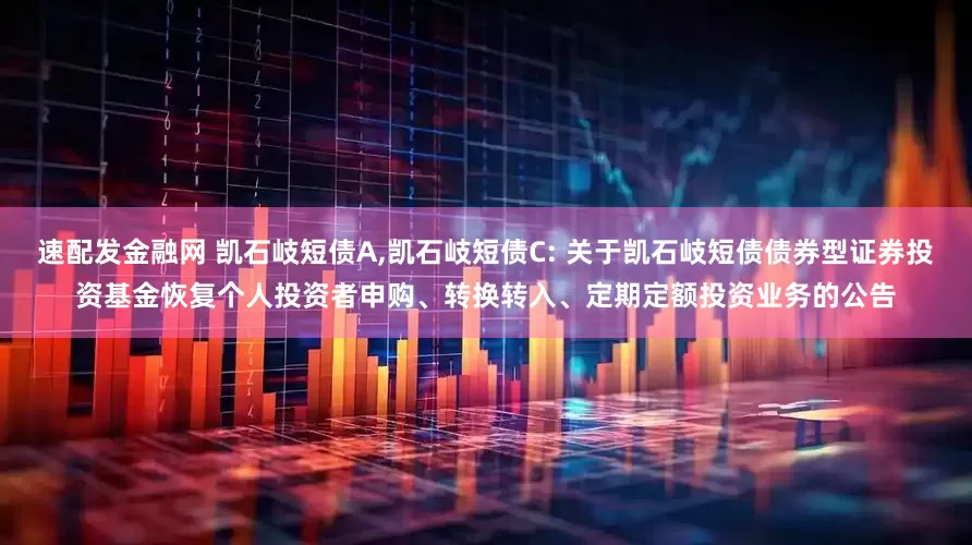 速配发金融网 凯石岐短债A,凯石岐短债C: 关于凯石岐短债债券型证券投资基金恢复个人投资者申购、转换转入、定期定额投资业务的公告