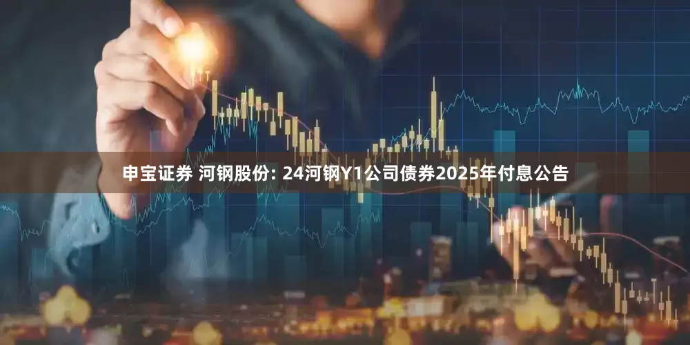 申宝证券 河钢股份: 24河钢Y1公司债券2025年付息公告